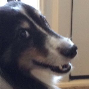 Meet your Posher, Katlyn